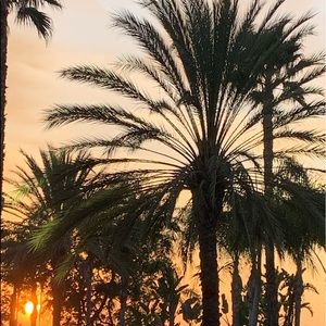 Meet your Posher, Zya